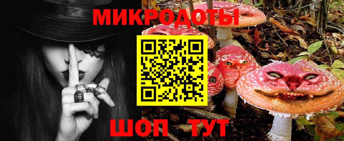 Галлюциногенные грибы MAGIC MUSHROOMS  Вход с VPN  Сочи  Галлюциногенные грибы прущие грибы 