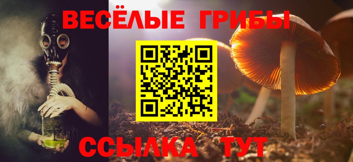 Псилоцибиновые грибы MAGIC MUSHROOMS Сочи